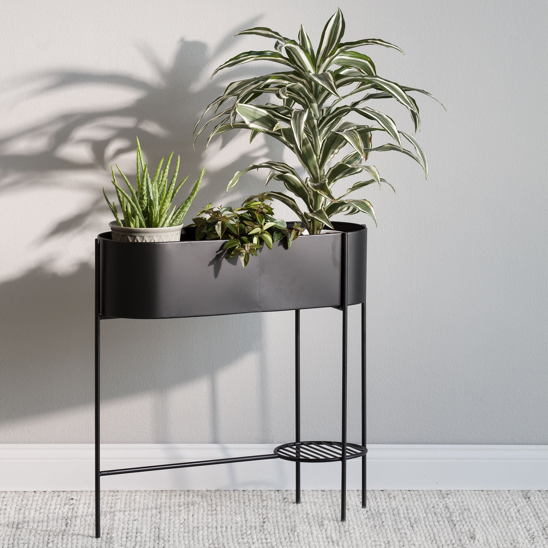 Viola Pflanzenbox Schwarz